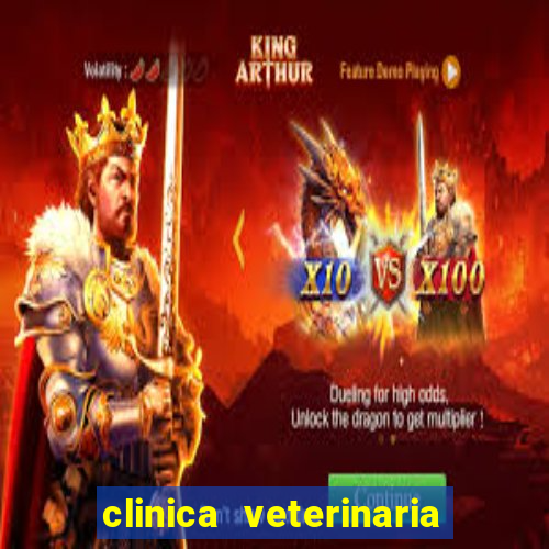 clinica veterinaria cuidar betim